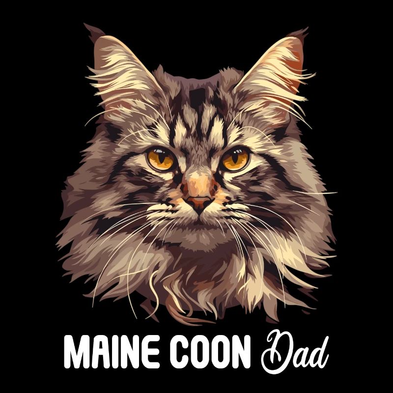 Maine Coon Kätzchen Maine Coon Katze
