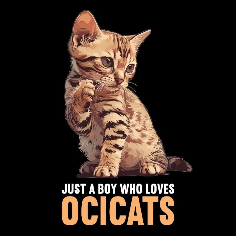 Ocicat Chaton Ocicat Chat