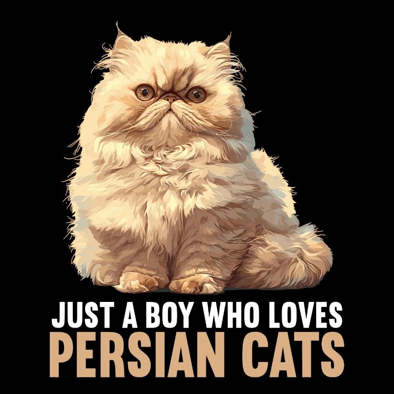 Persian Cat Perserkatze