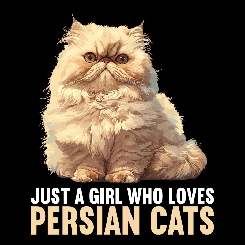 Persian Cat Perserkatze