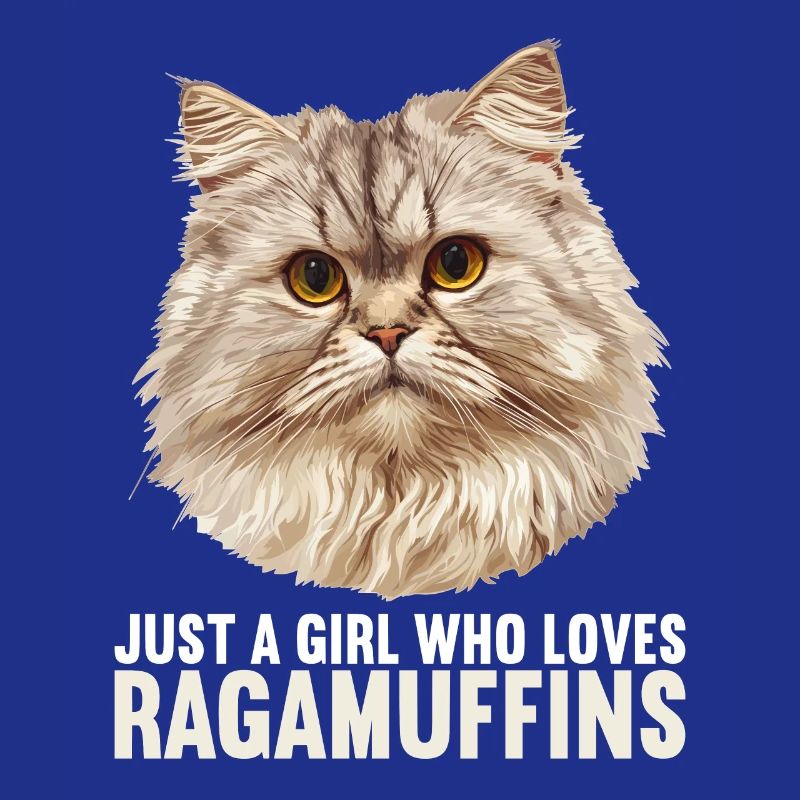 Ragamuffin Kätzchen Ragamuffin Katze
