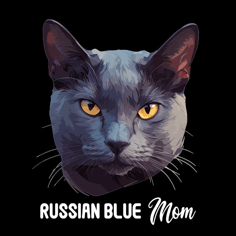 Russian Blue Cat Russisch Blau Katze