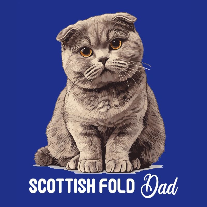 Scottish Fold Kitten Scottish Fold Cat