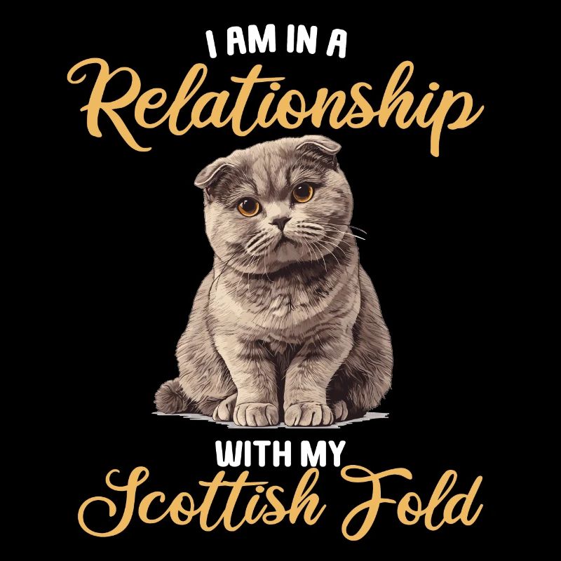 Scottish Fold Kitten Scottish Fold chat