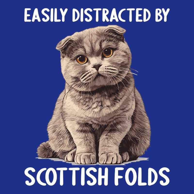 Scottish Fold Kätzchen Scottish Fold Katze