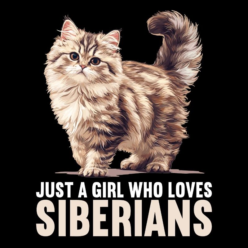Siberian Cat Sibirische Katze