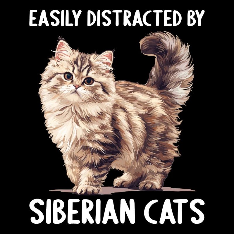 Siberian Cat Sibirische Katze