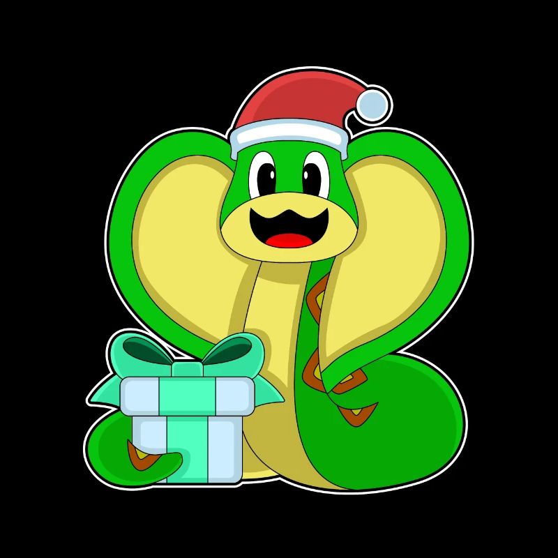 Snake Christmas Package
