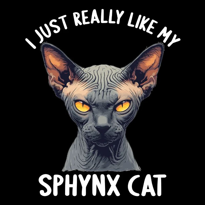 Chaton Sphynx Chat Sphynx