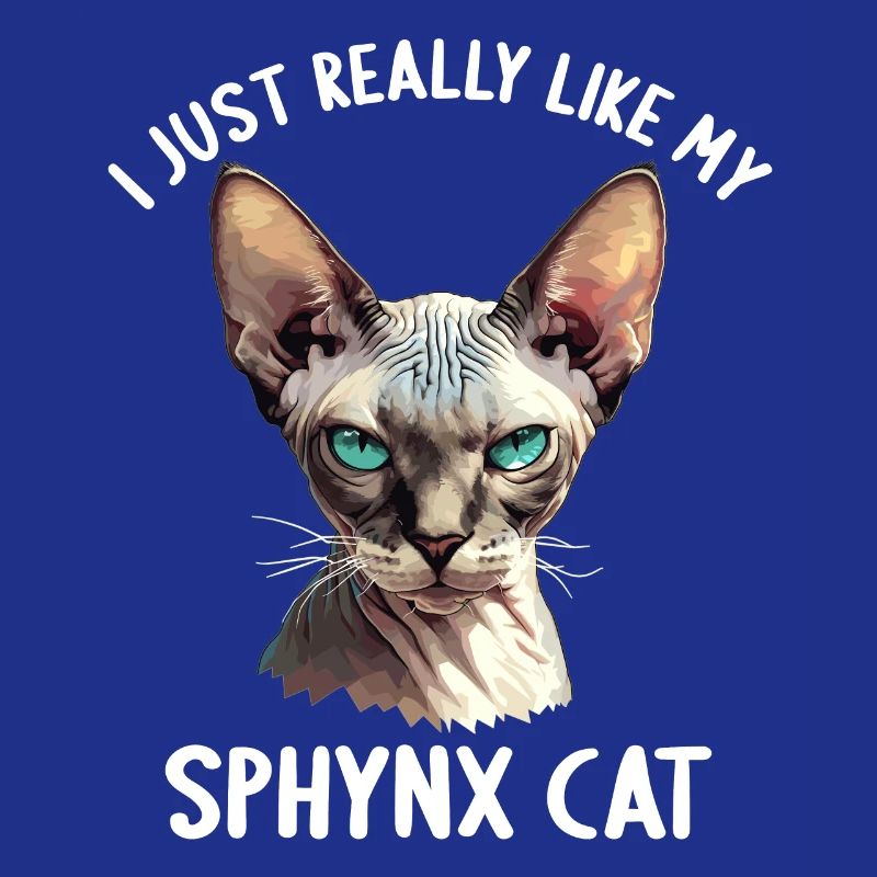 Chaton Sphynx Chat Sphynx