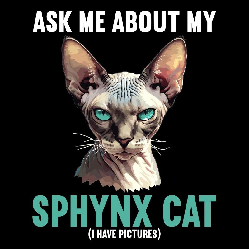 Sphynx Kitten Sphynx Cat