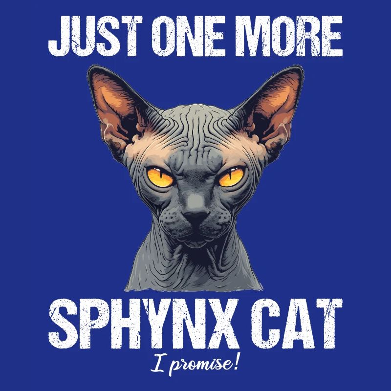 Sphynx Kitten Sphynx Cat