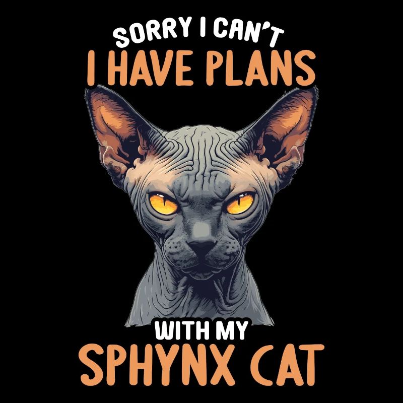 Sphynx Kitten Sphynx Cat