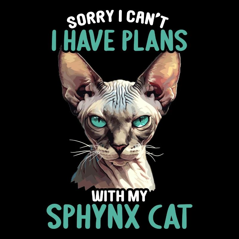 Sphynx Kätzchen Sphynx Katze