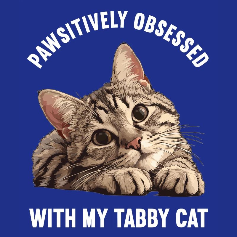 Tabby Kitten Tabby Cat