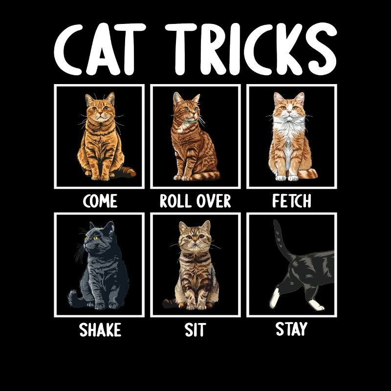 Cat Cats Tricks Funny Cats