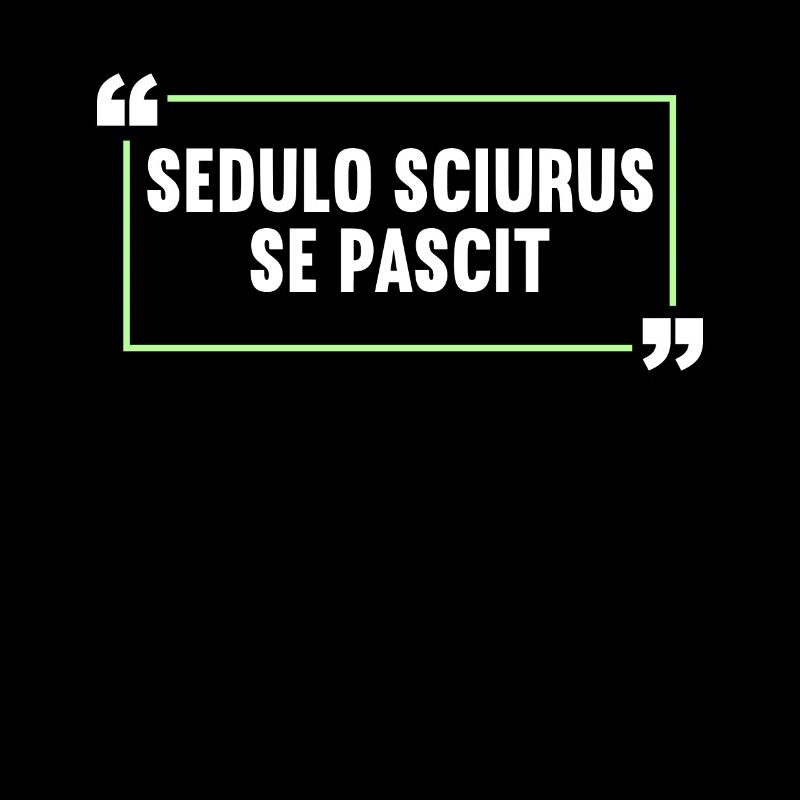 Lateinisch Lustiger Latein Spruch
