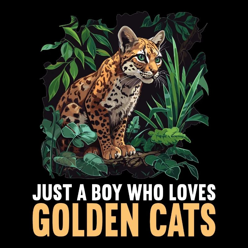 Chats dorés Chat doré