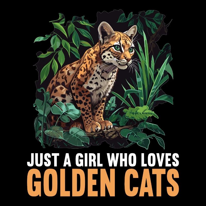 Chats dorés Chat doré