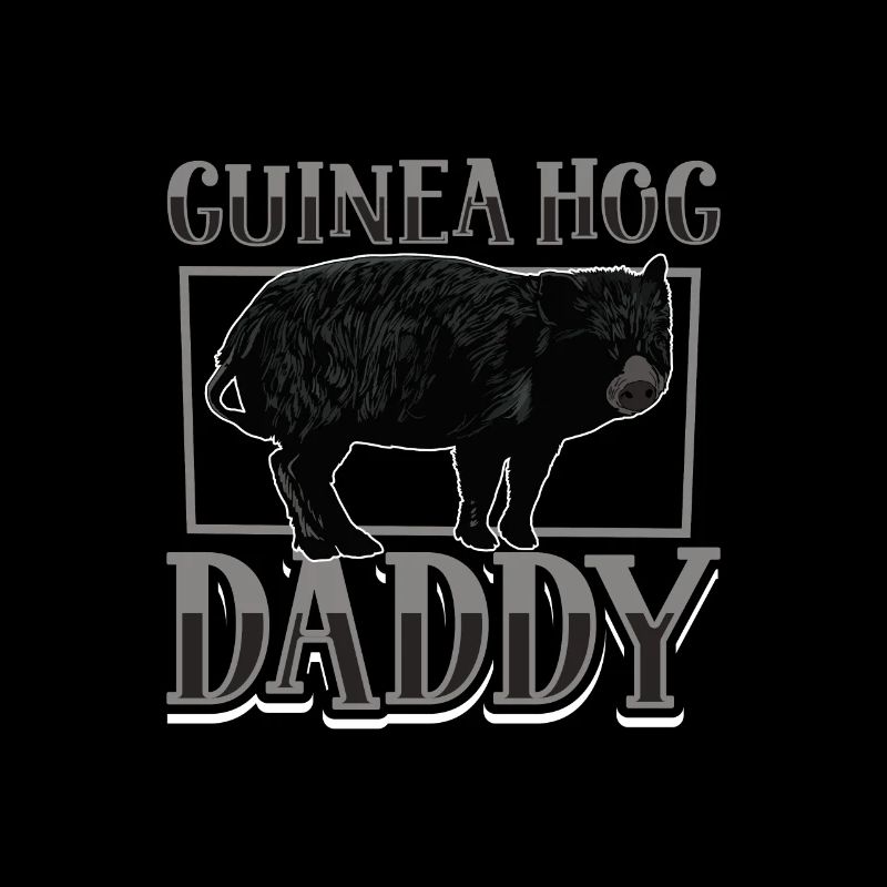 Papa cochon d’Inde