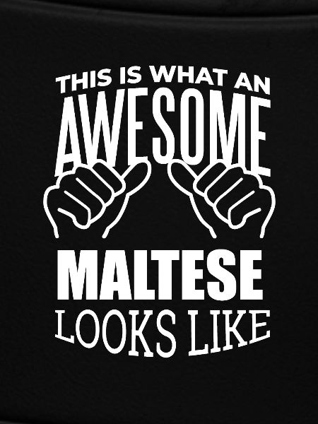 Malta Malta Malta