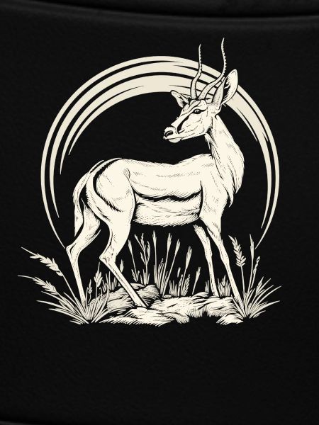 Antelope Antilopen Antilope