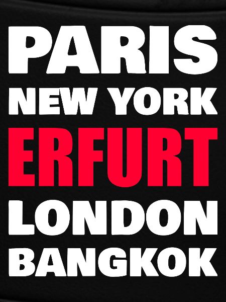 Erfurt City
