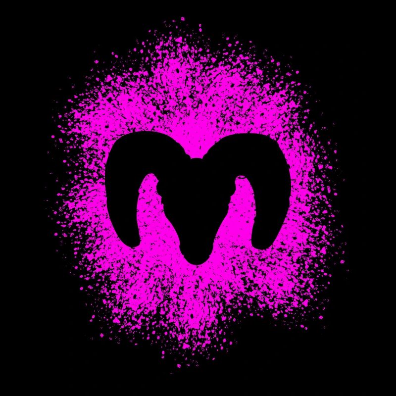 Mouflon d’Amérique