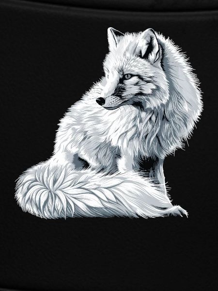 Arctic Fox Polarfüchse Polarfuchs