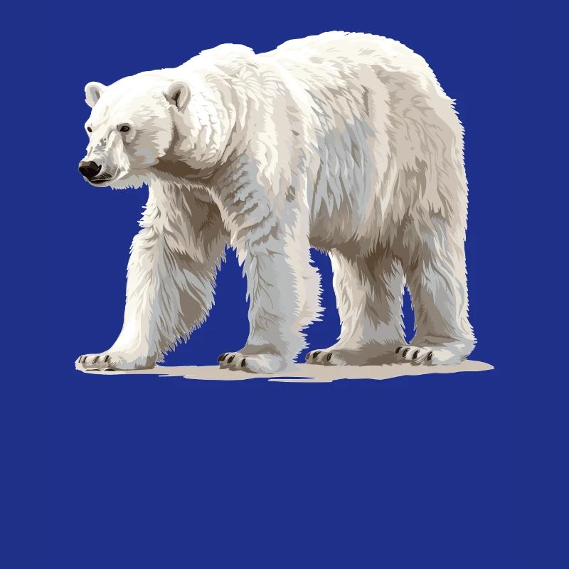 Polar Bear Eisbären Eisbär