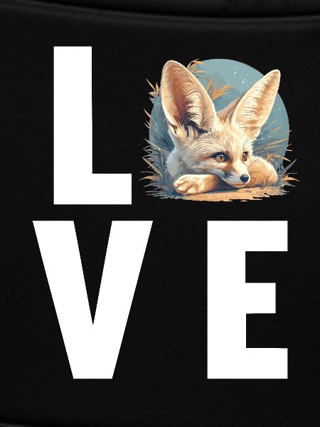 Fennec Fox Fenneks Fennek