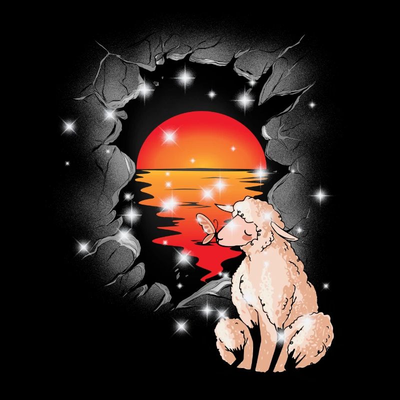 Sheep Sheep Sunset Lamb Lambs Child