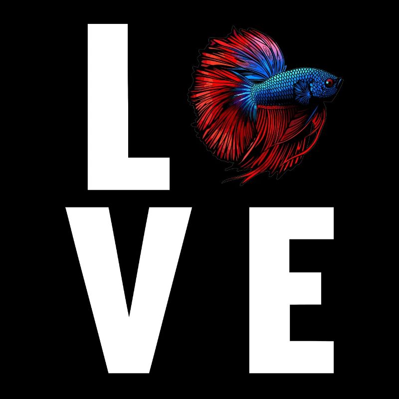 Bettas Betta Fisch Betta