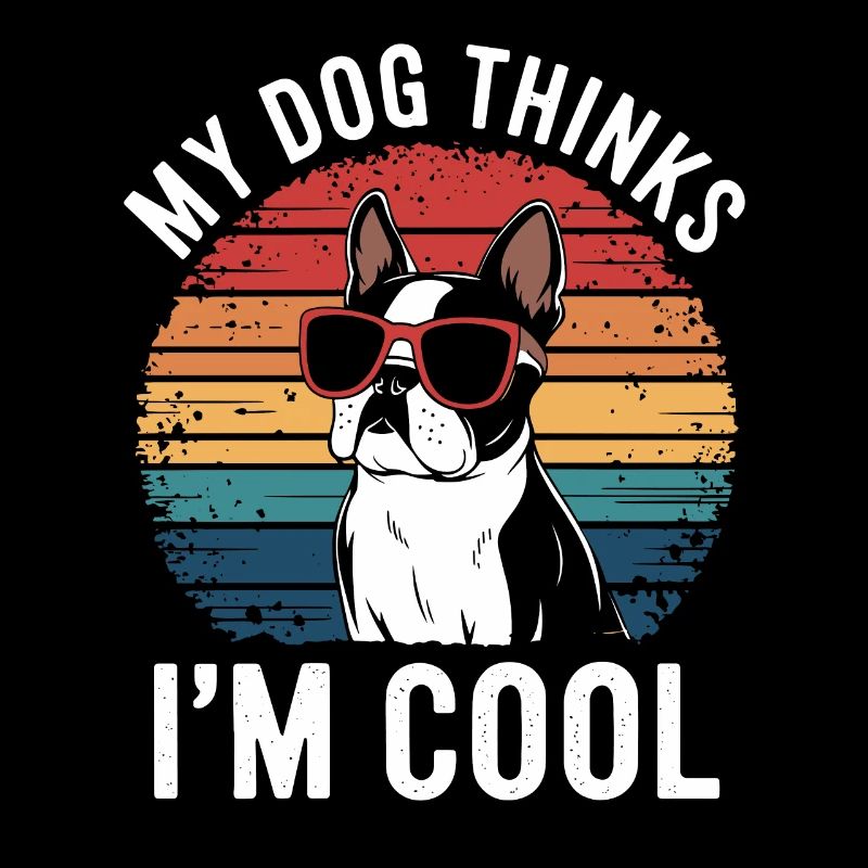 Boston Terrier Mein Hund Denkt Das Ich Cool Bin