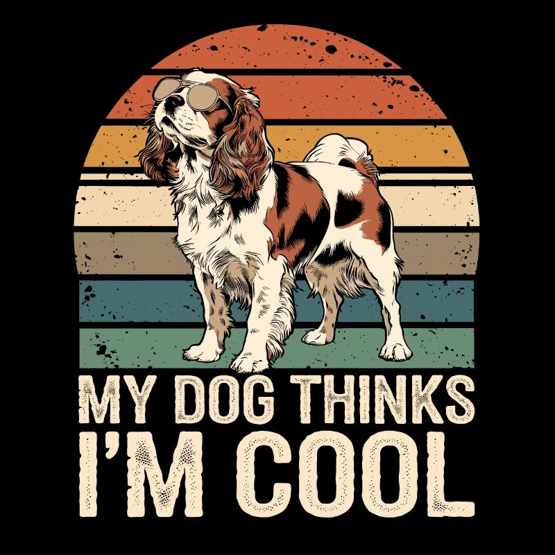Cavalier Spaniel Mon chien pense que je suis cool