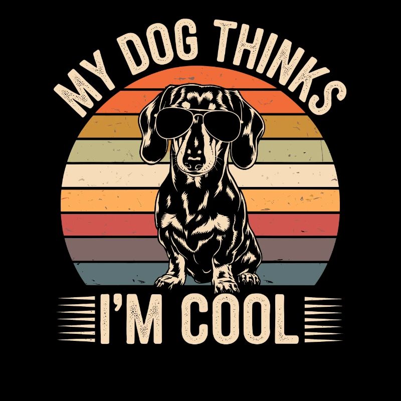 Teckel mon chien pense que je suis cool
