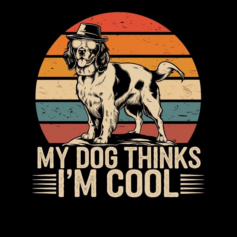 Bretonischer Spaniel Mein Hund Denkt Das Ich Cool
