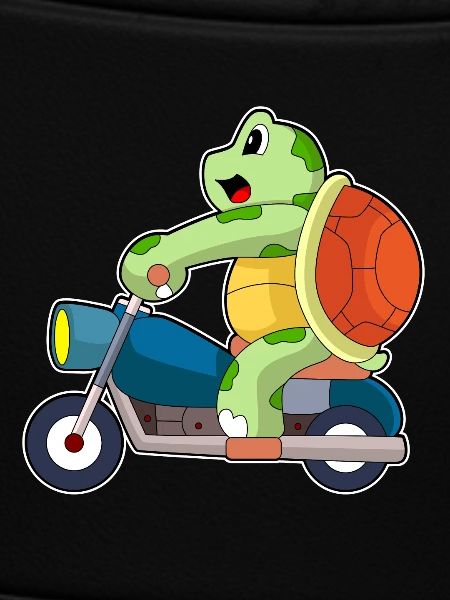 Turtle Motorcycle