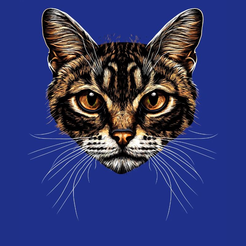 Chat Bengal Chat Léopard Chat Leopardette Chats Bengale