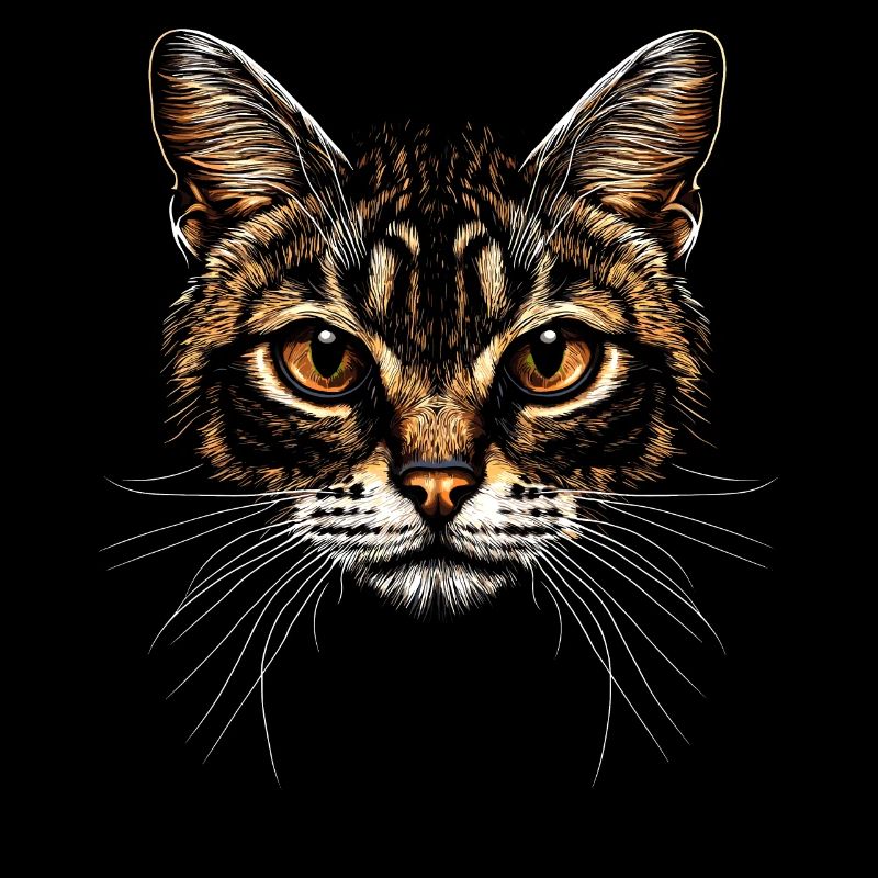 Bengal Katze Leopard Cat Leopardette Bengal Katzen