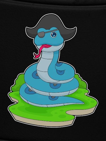 Snake Pirate Pirate Hat