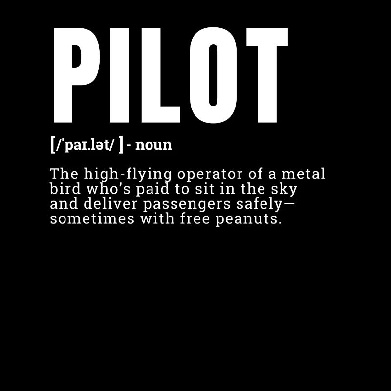 Funny Pilot Dictionary Definition Occupation Occup