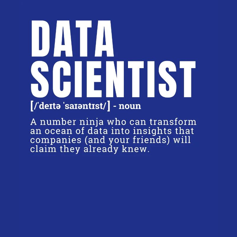 Funny Data Scientist Definition Occupation Occupat