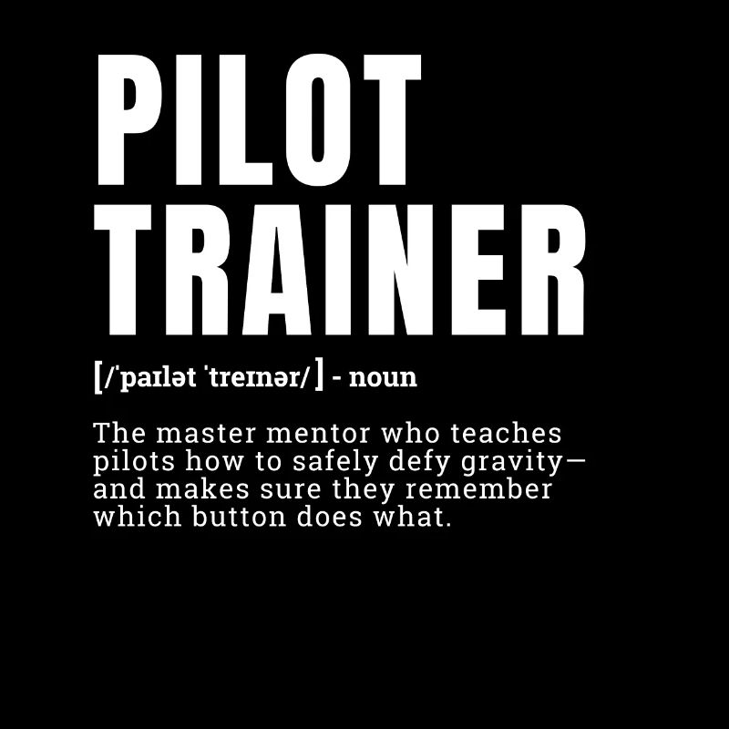 Drôle Pilote Formateur Mentor Définition Profession