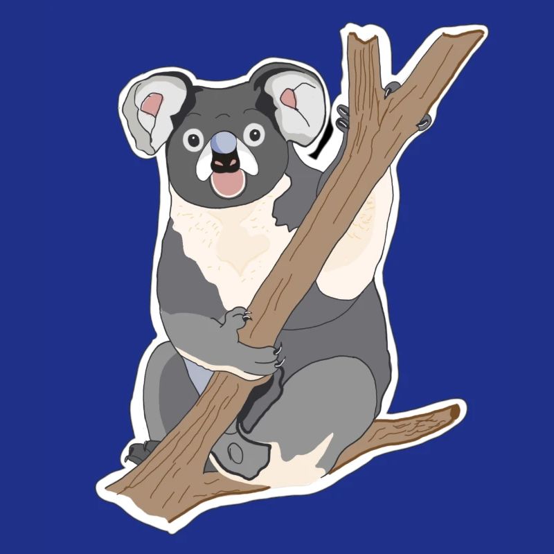 Koala Koalabär