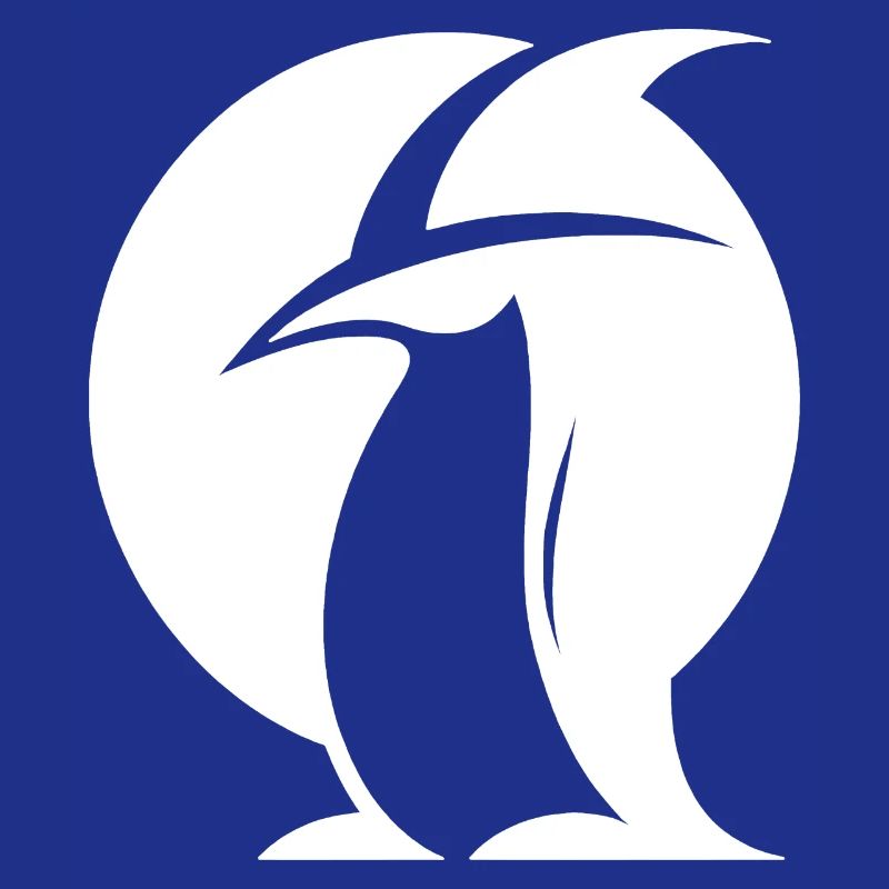 Penguin Witch Hat Silhouette Magical Creatures