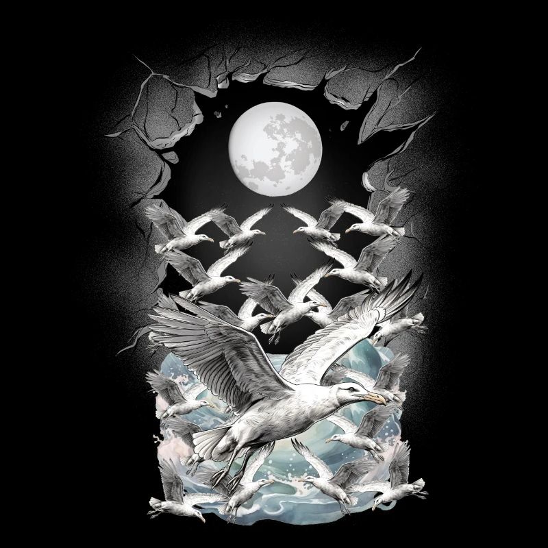 maritime, seagull, seagulls