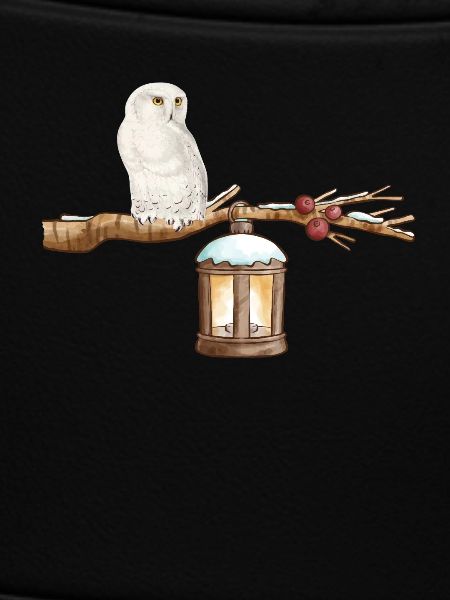 Winter-Eule Winter Owl