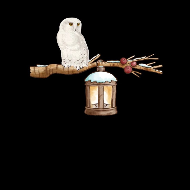 Winter-Eule Winter Owl