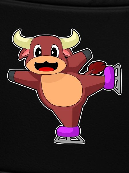 Bull Skating Skates